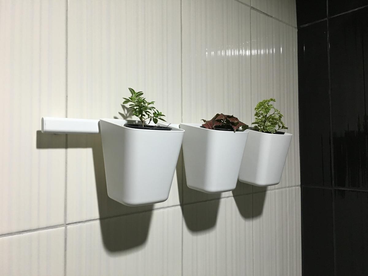 بانكوك Wanmai Herb Garden المظهر الخارجي الصورة