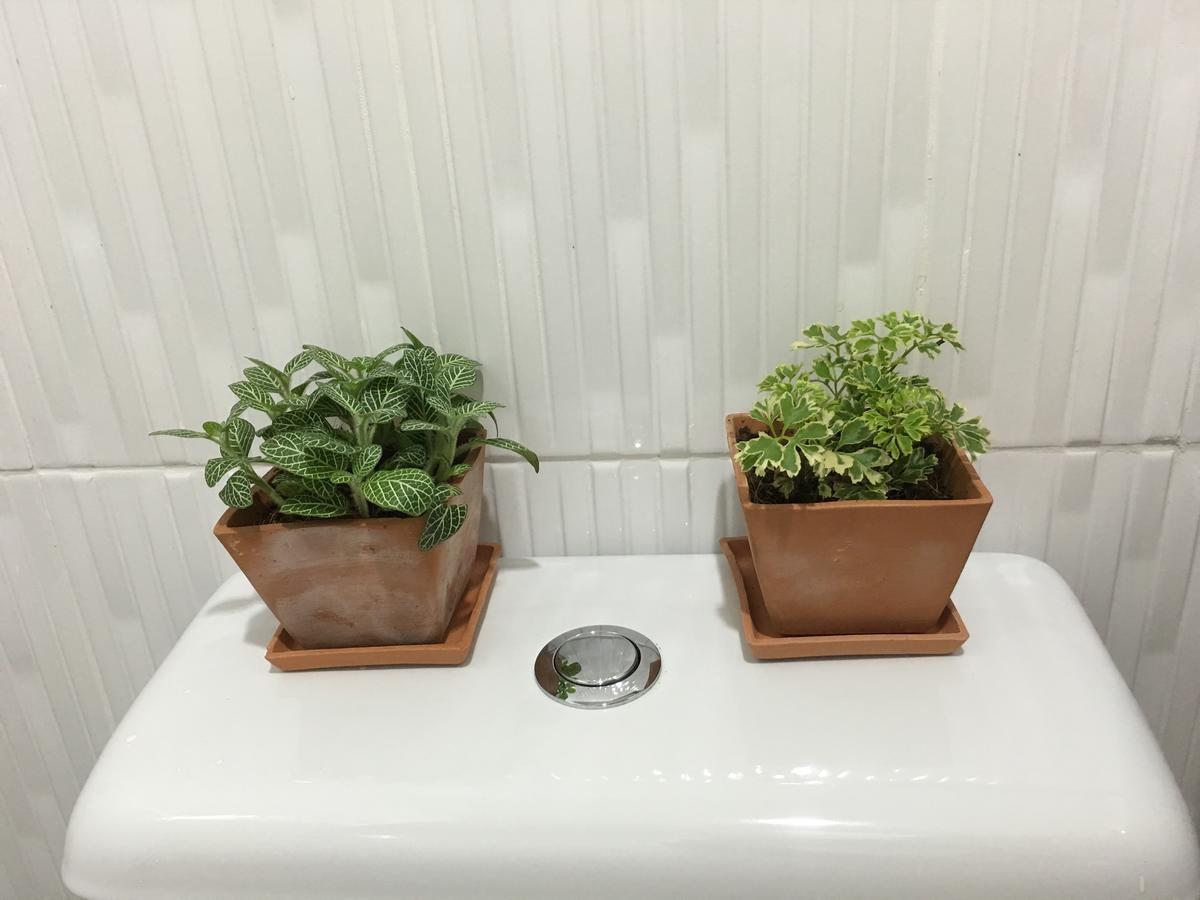 بانكوك Wanmai Herb Garden المظهر الخارجي الصورة