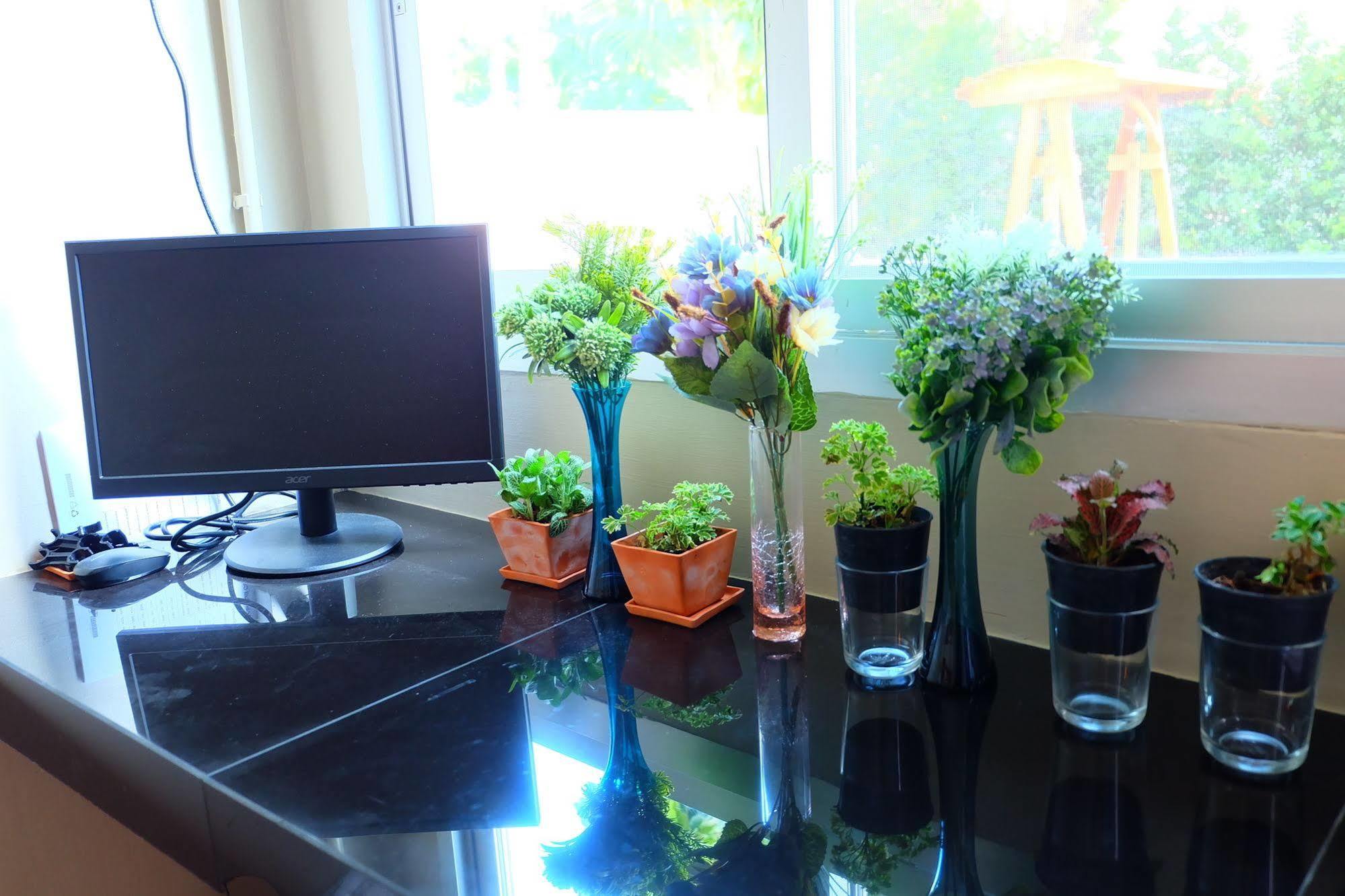بانكوك Wanmai Herb Garden المظهر الخارجي الصورة